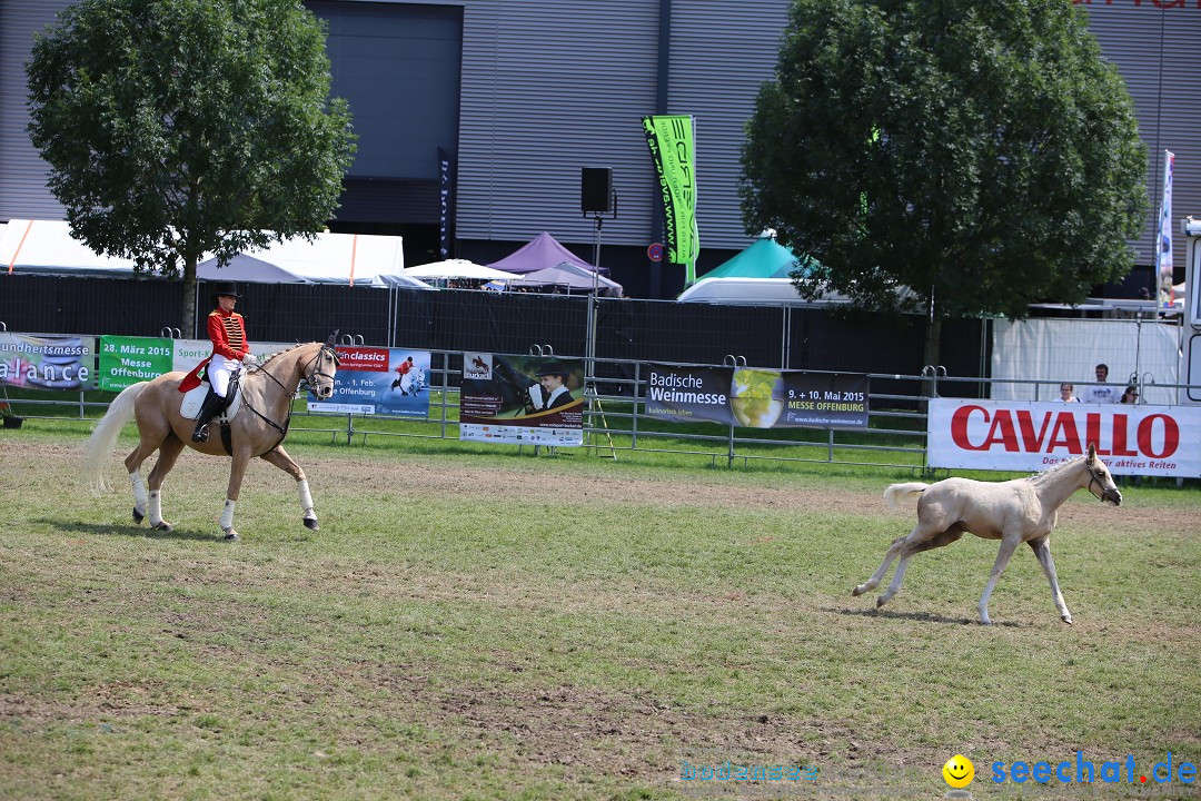 eurocheval - Europamesse des Pferdes - seechat: Offenburg, 27.07.2014