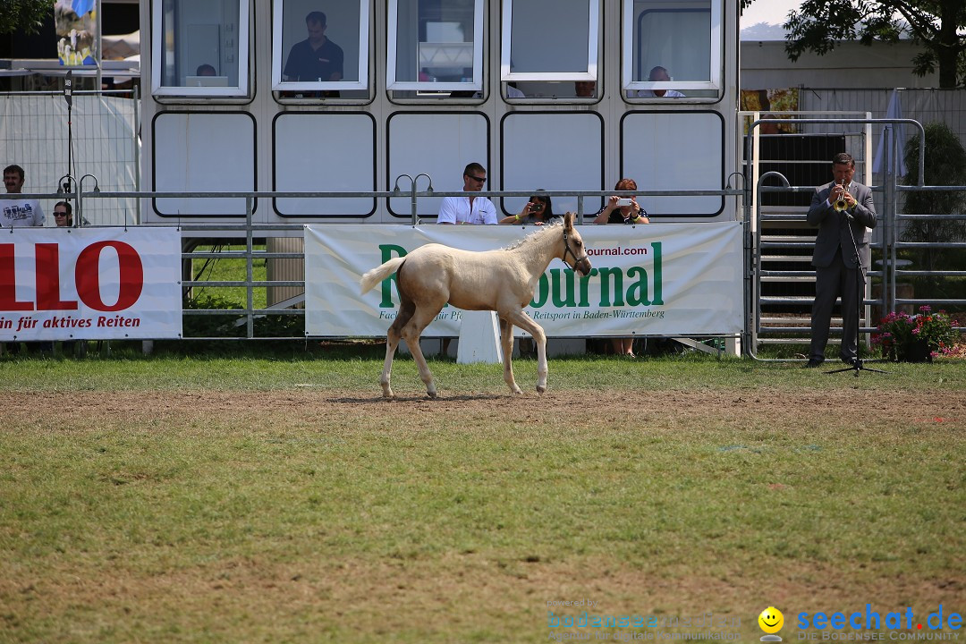 eurocheval - Europamesse des Pferdes - seechat: Offenburg, 27.07.2014