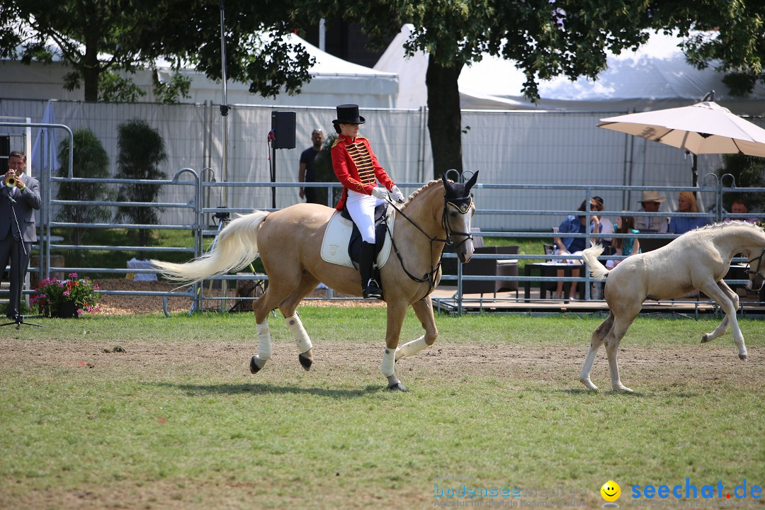 eurocheval - Europamesse des Pferdes - seechat: Offenburg, 27.07.2014