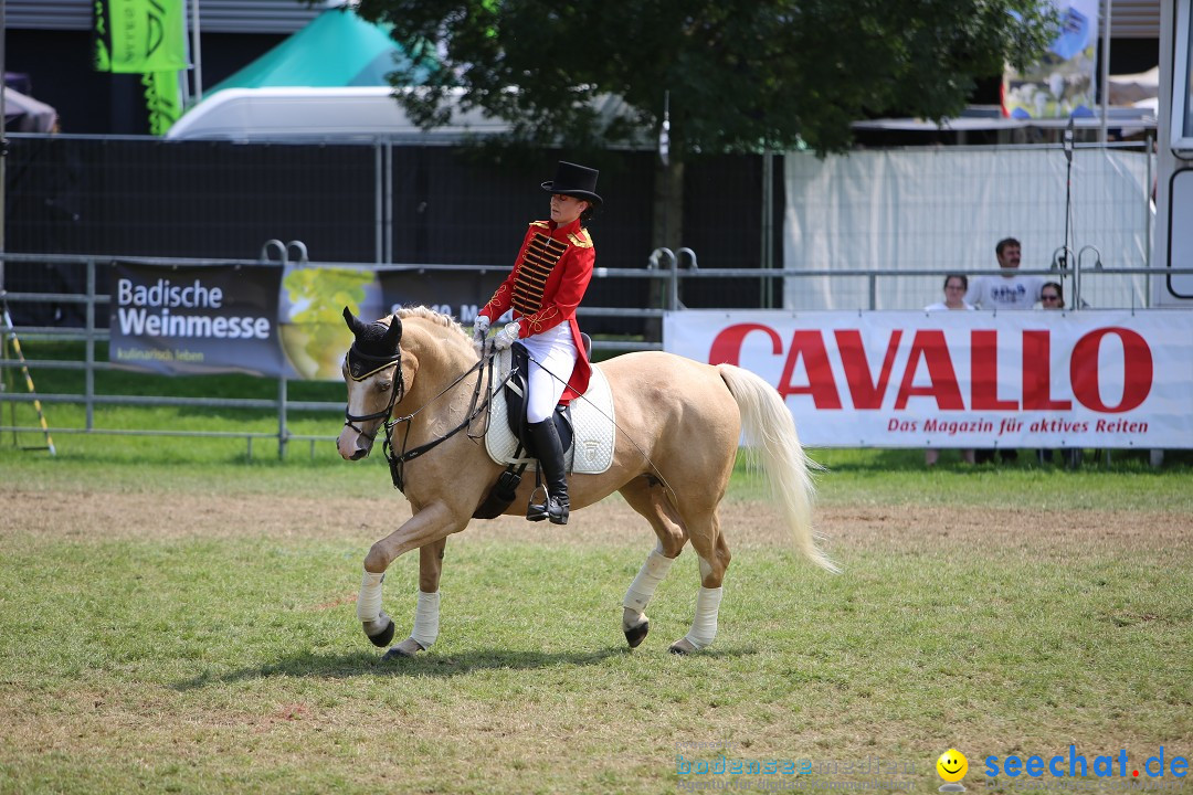 eurocheval - Europamesse des Pferdes - seechat: Offenburg, 27.07.2014