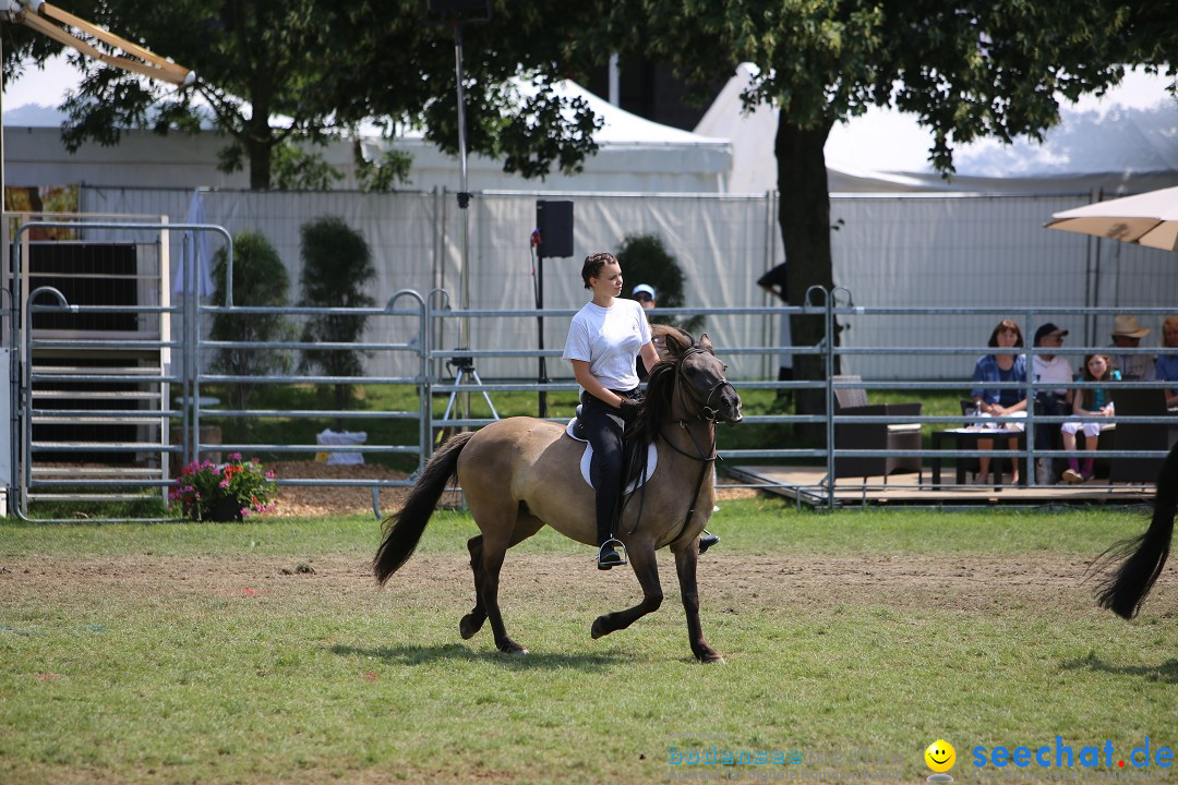 eurocheval - Europamesse des Pferdes - seechat: Offenburg, 27.07.2014