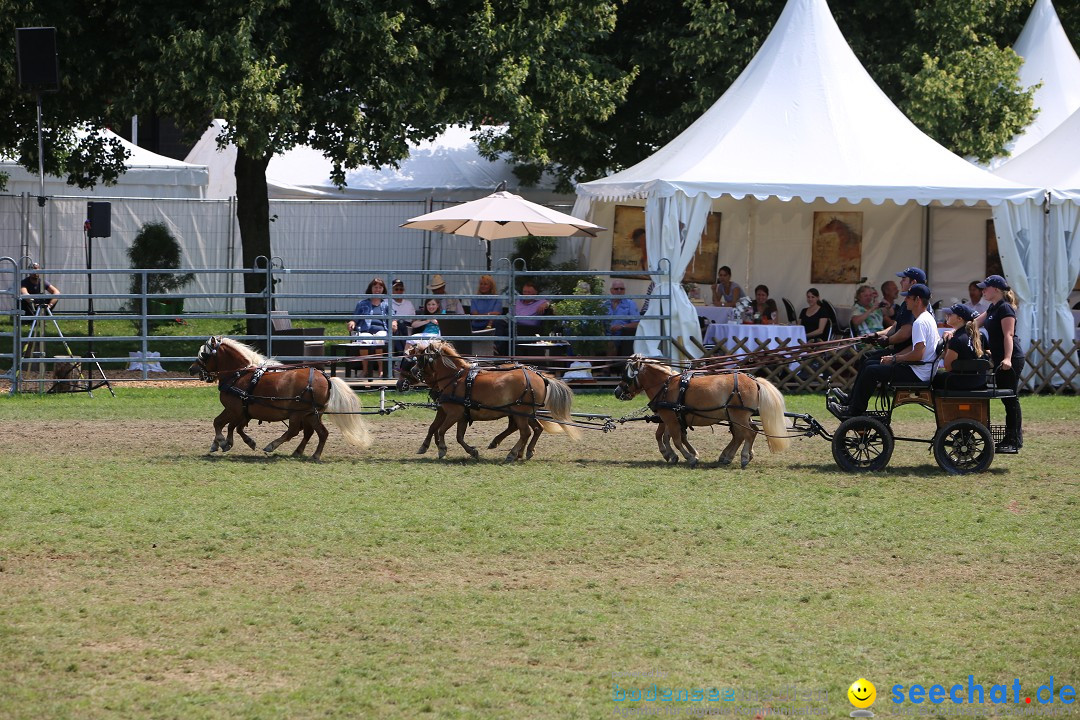 eurocheval - Europamesse des Pferdes - seechat: Offenburg, 27.07.2014