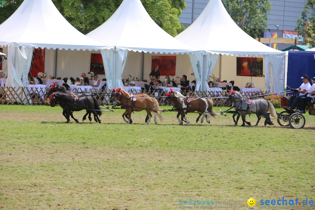 eurocheval - Europamesse des Pferdes - seechat: Offenburg, 27.07.2014