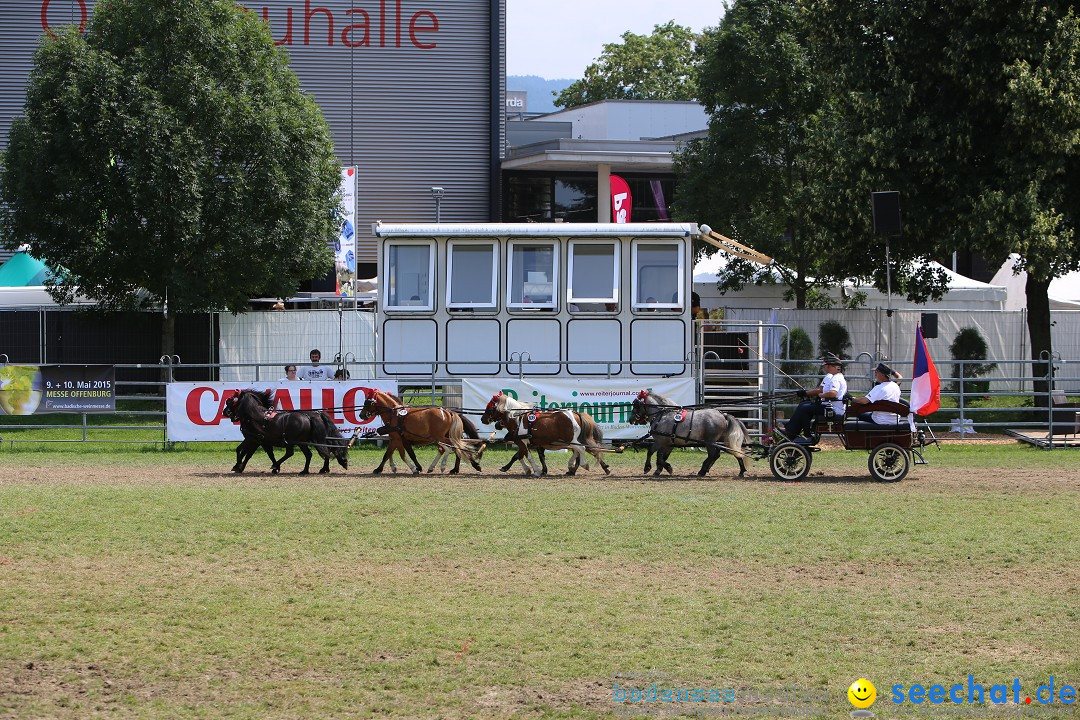 eurocheval - Europamesse des Pferdes - seechat: Offenburg, 27.07.2014