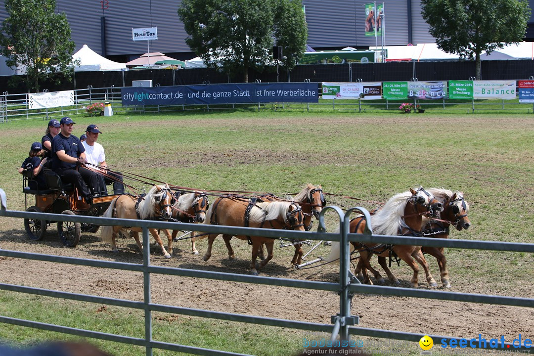 eurocheval - Europamesse des Pferdes - seechat: Offenburg, 27.07.2014