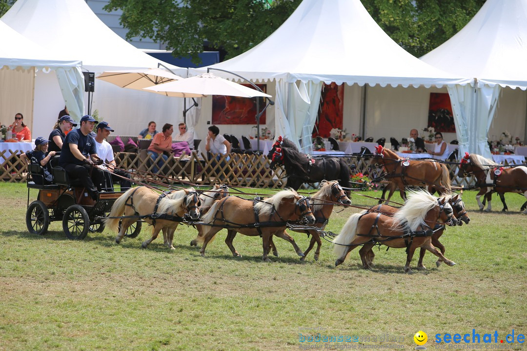 eurocheval - Europamesse des Pferdes - seechat: Offenburg, 27.07.2014