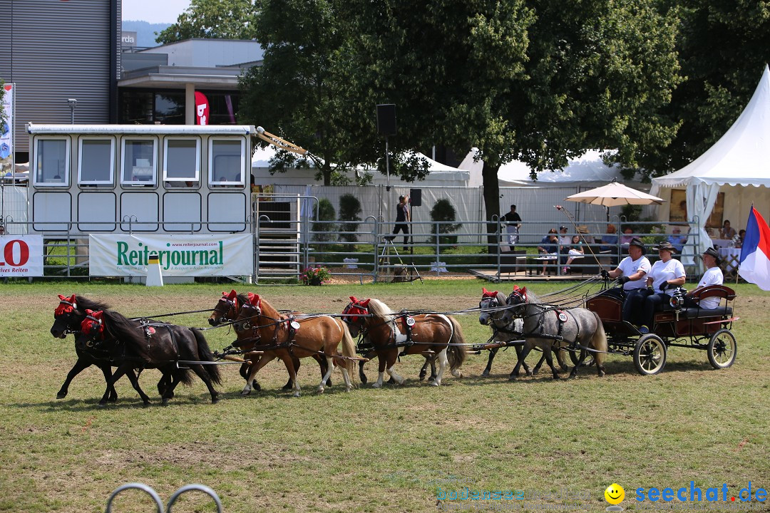 eurocheval - Europamesse des Pferdes - seechat: Offenburg, 27.07.2014