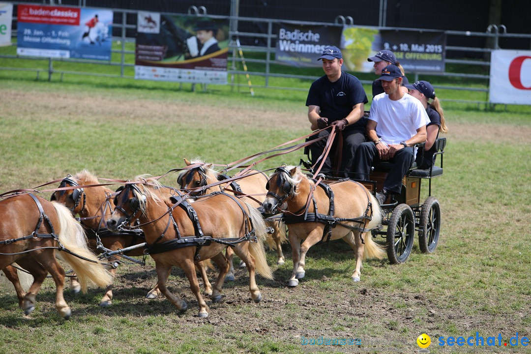 eurocheval - Europamesse des Pferdes - seechat: Offenburg, 27.07.2014