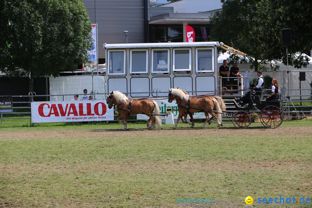 eurocheval - Europamesse des Pferdes - seechat: Offenburg, 27.07.2014