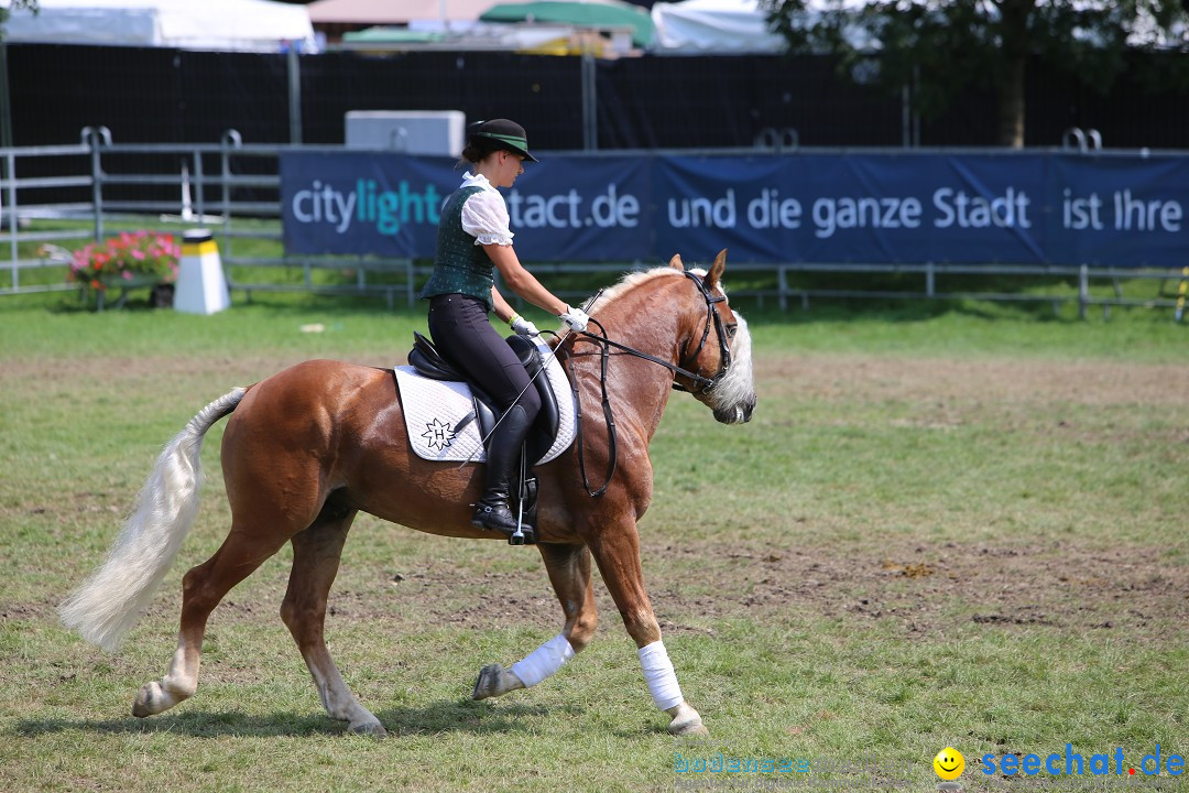 eurocheval - Europamesse des Pferdes - seechat: Offenburg, 27.07.2014