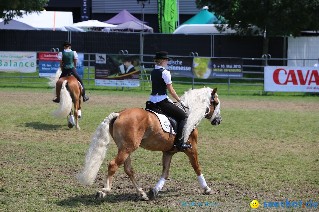 eurocheval - Europamesse des Pferdes - seechat: Offenburg, 27.07.2014