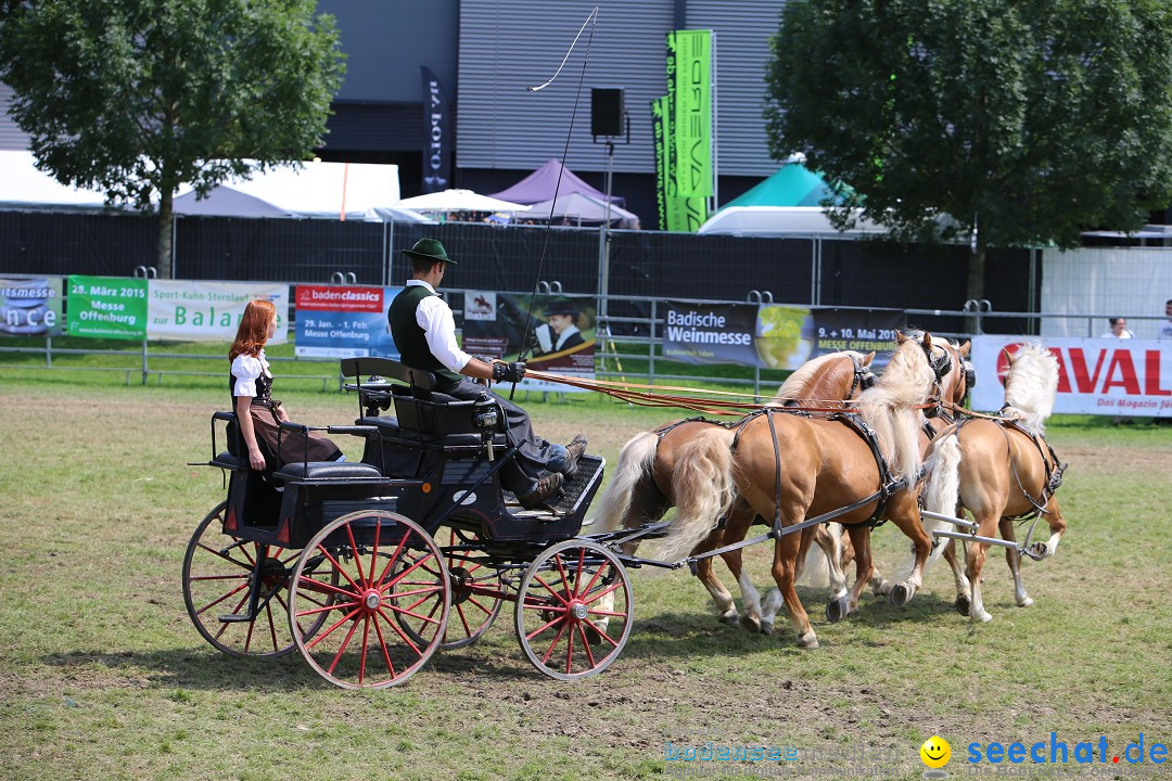 eurocheval - Europamesse des Pferdes - seechat: Offenburg, 27.07.2014