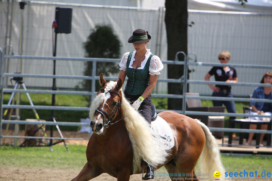 eurocheval - Europamesse des Pferdes - seechat: Offenburg, 27.07.2014