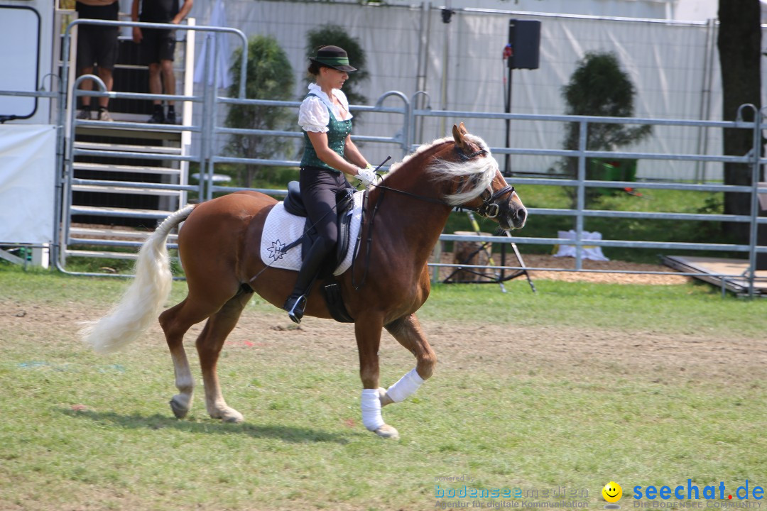 eurocheval - Europamesse des Pferdes - seechat: Offenburg, 27.07.2014