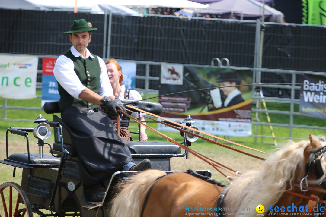 eurocheval - Europamesse des Pferdes - seechat: Offenburg, 27.07.2014