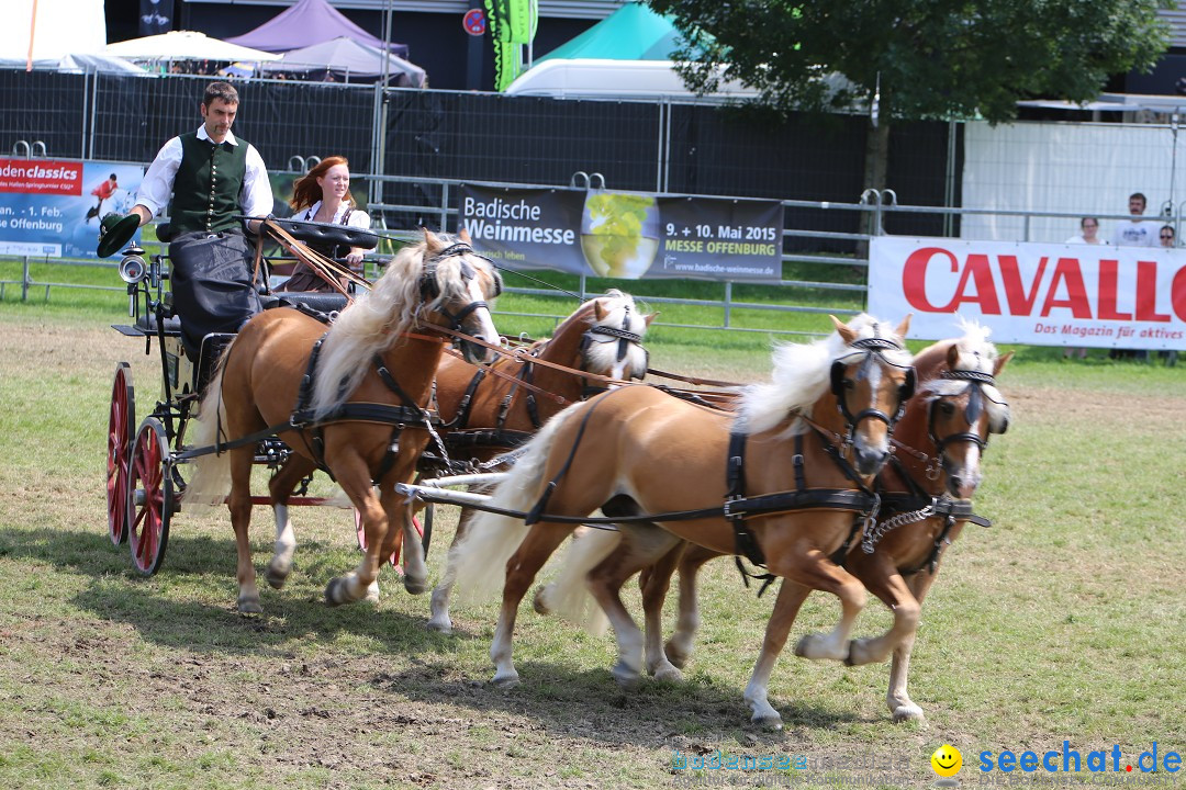 eurocheval - Europamesse des Pferdes - seechat: Offenburg, 27.07.2014