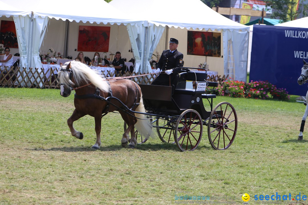 eurocheval - Europamesse des Pferdes - seechat: Offenburg, 27.07.2014