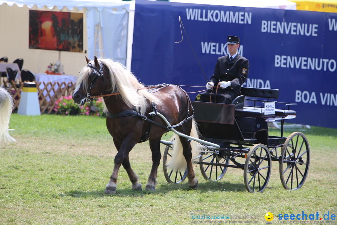 eurocheval - Europamesse des Pferdes - seechat: Offenburg, 27.07.2014