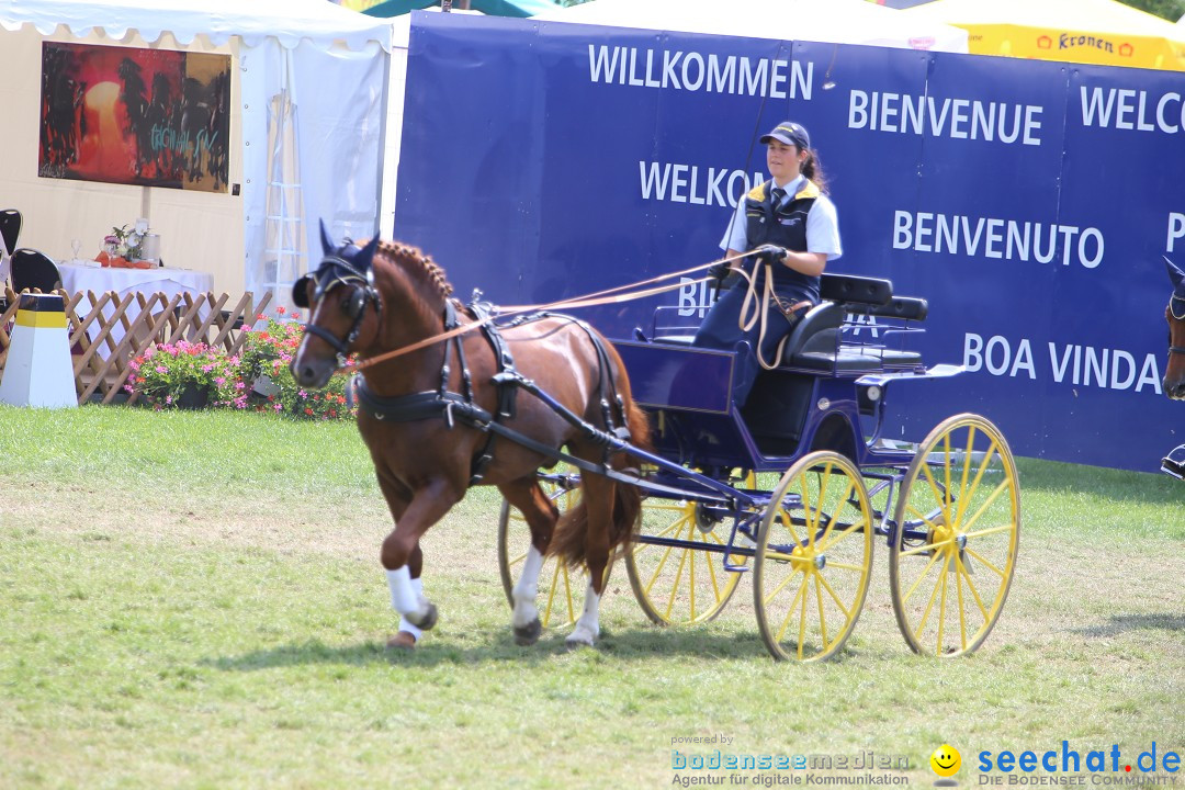 eurocheval - Europamesse des Pferdes - seechat: Offenburg, 27.07.2014