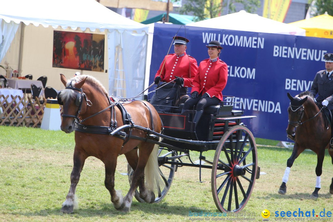 eurocheval - Europamesse des Pferdes - seechat: Offenburg, 27.07.2014