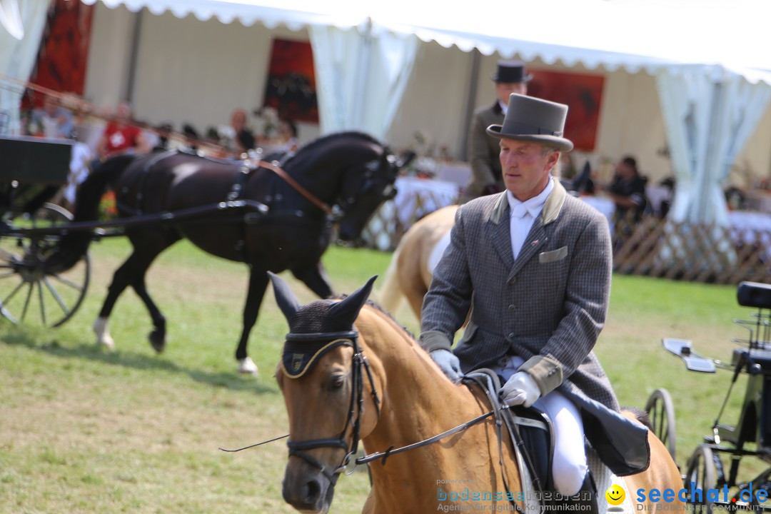 eurocheval - Europamesse des Pferdes - seechat: Offenburg, 27.07.2014