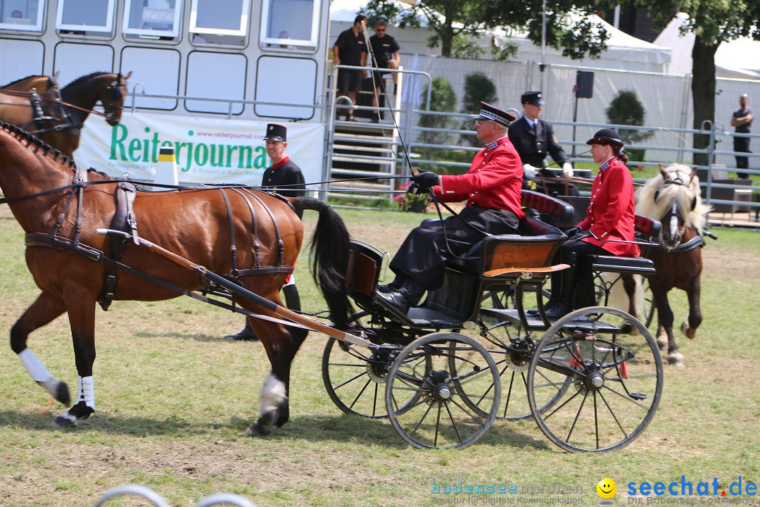 eurocheval - Europamesse des Pferdes - seechat: Offenburg, 27.07.2014