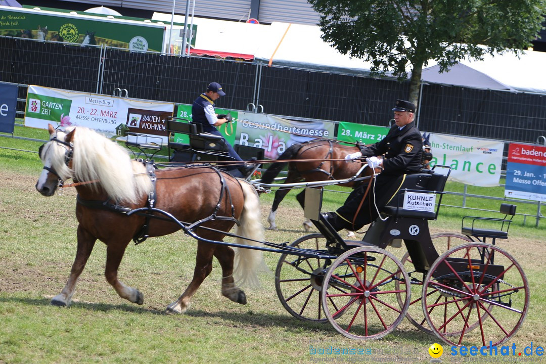 eurocheval - Europamesse des Pferdes - seechat: Offenburg, 27.07.2014