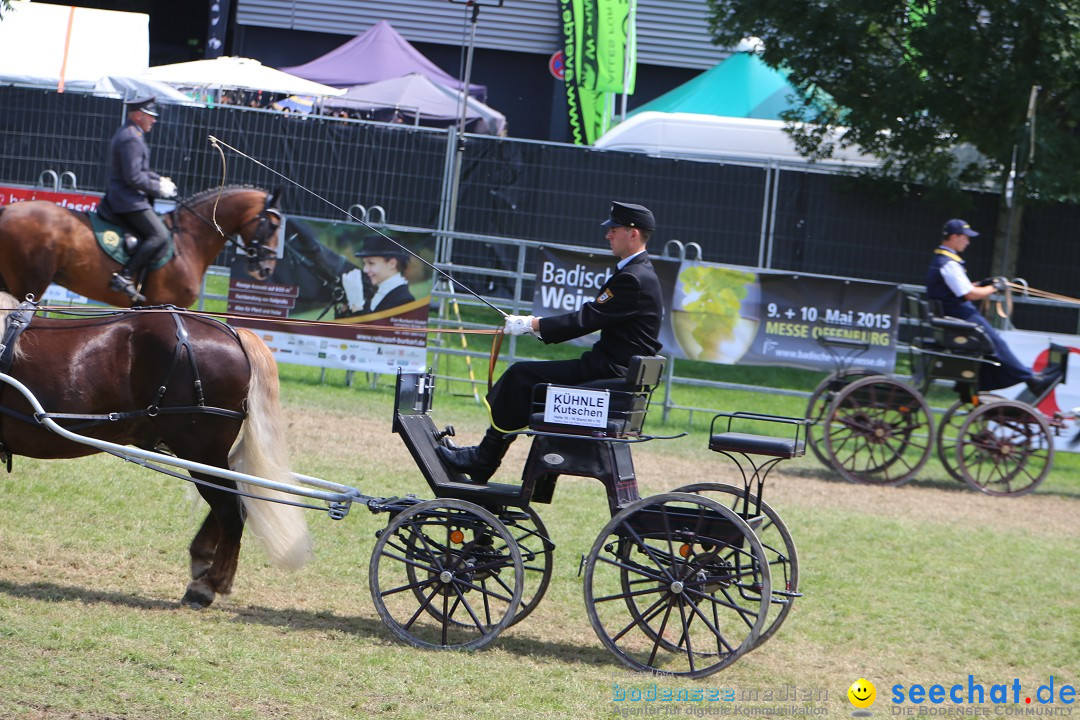 eurocheval - Europamesse des Pferdes - seechat: Offenburg, 27.07.2014