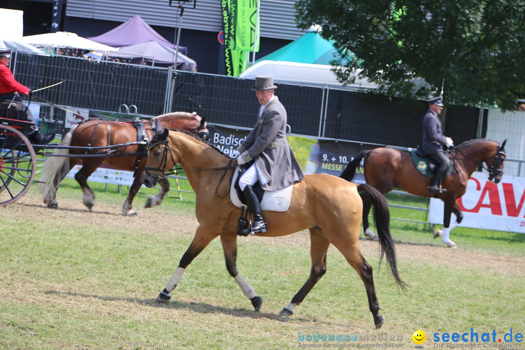 eurocheval - Europamesse des Pferdes - seechat: Offenburg, 27.07.2014