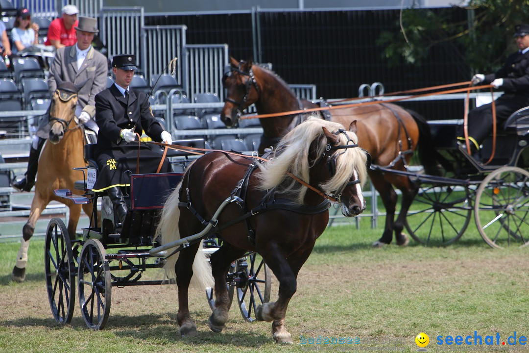 eurocheval - Europamesse des Pferdes - seechat: Offenburg, 27.07.2014