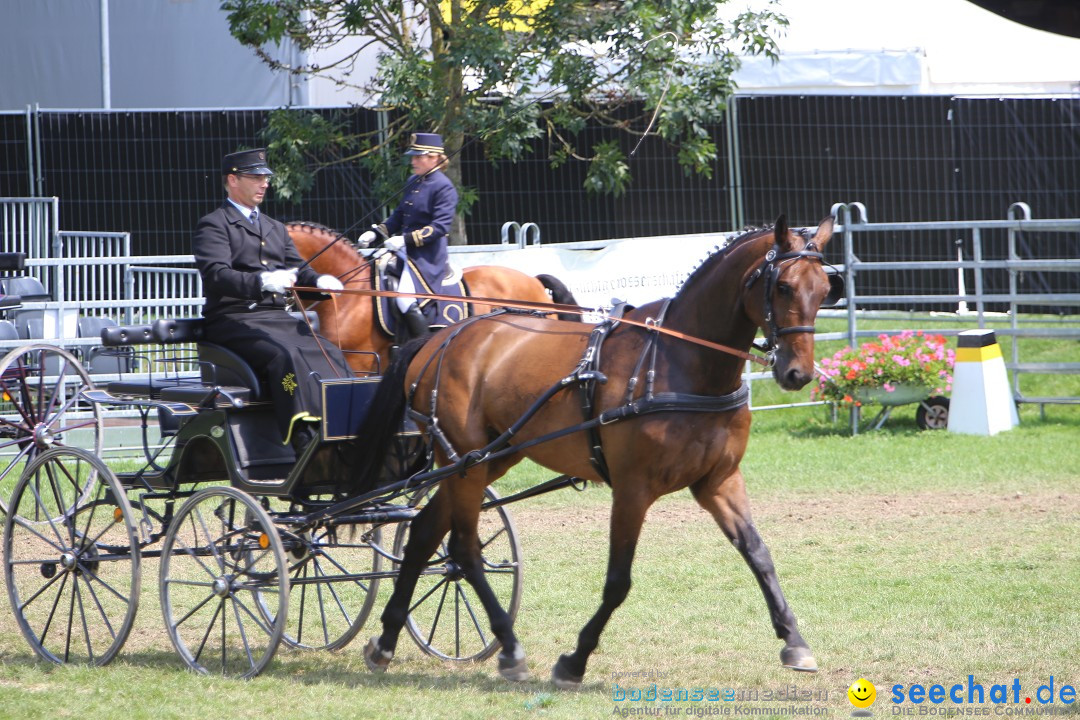 eurocheval - Europamesse des Pferdes - seechat: Offenburg, 27.07.2014