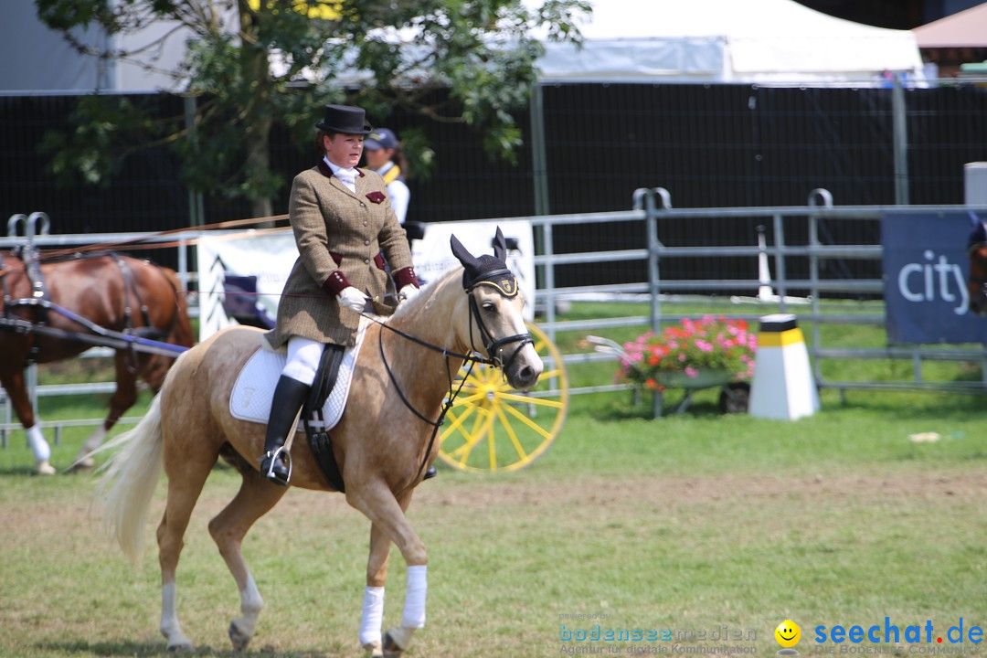 eurocheval - Europamesse des Pferdes - seechat: Offenburg, 27.07.2014