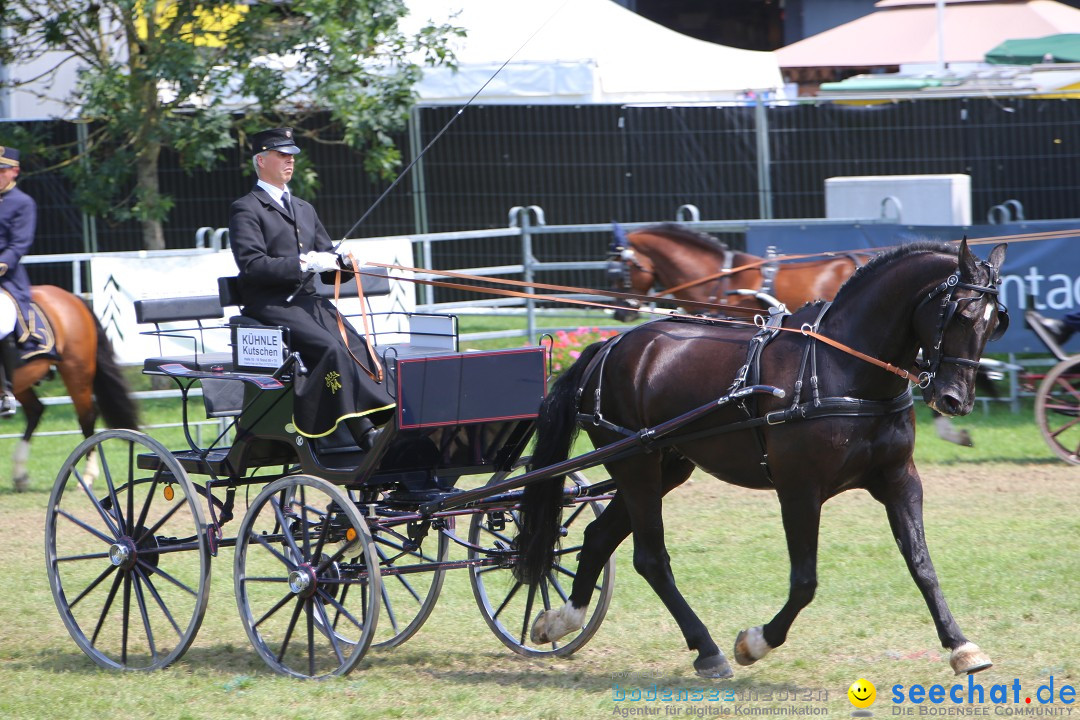 eurocheval - Europamesse des Pferdes - seechat: Offenburg, 27.07.2014