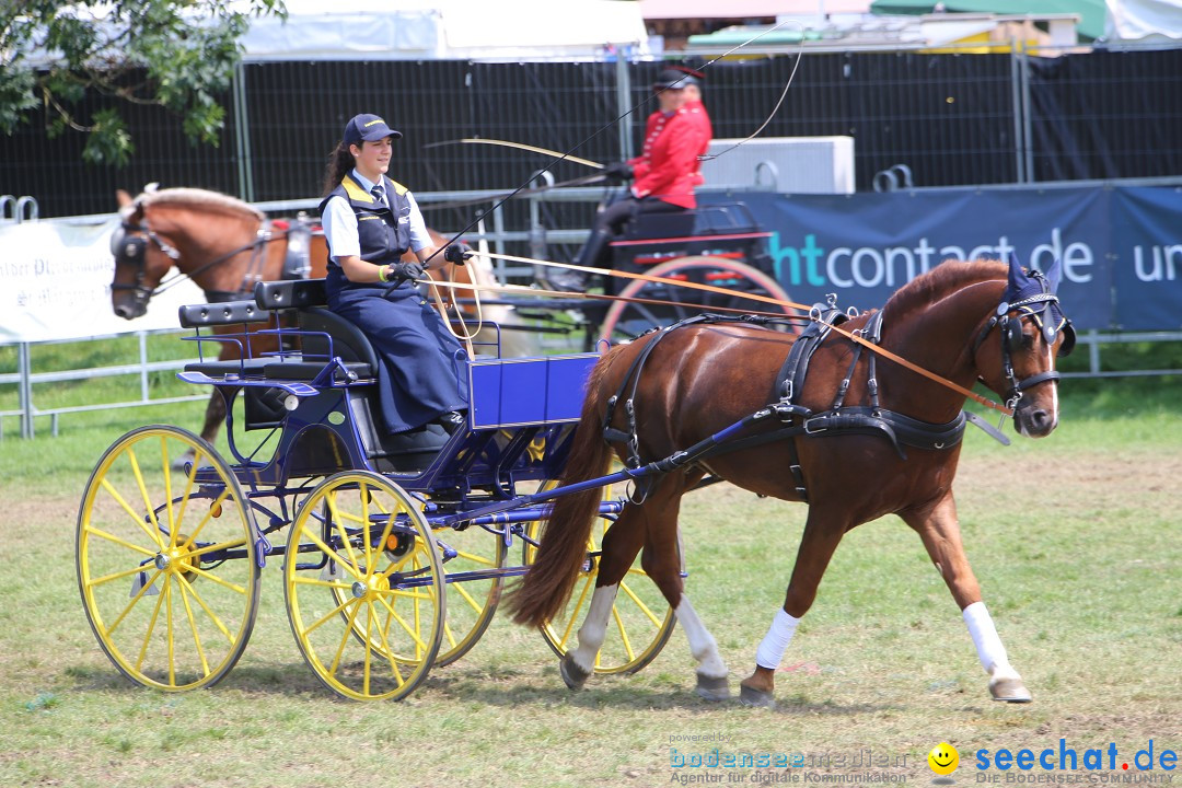 eurocheval - Europamesse des Pferdes - seechat: Offenburg, 27.07.2014