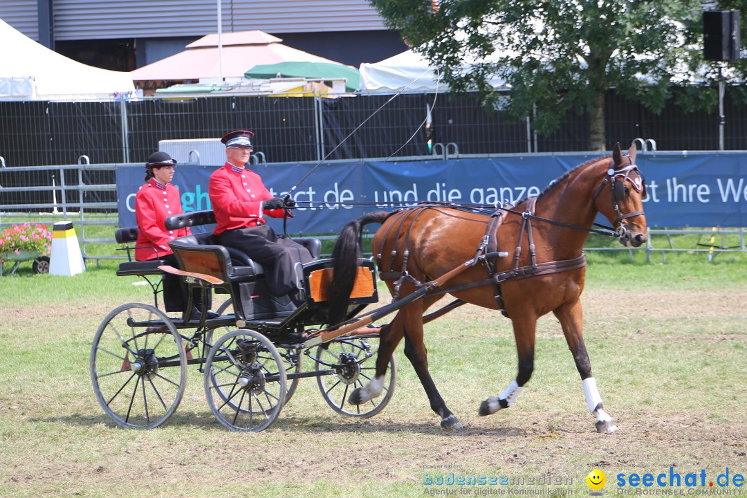 eurocheval - Europamesse des Pferdes - seechat: Offenburg, 27.07.2014