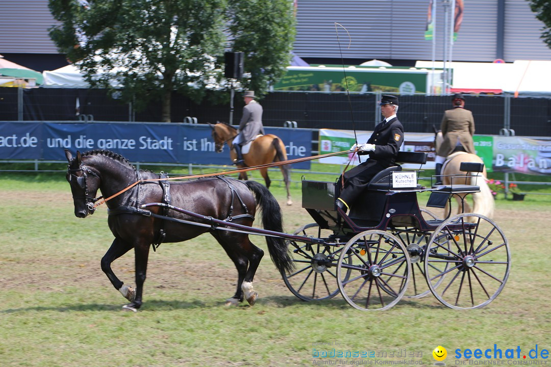 eurocheval - Europamesse des Pferdes - seechat: Offenburg, 27.07.2014