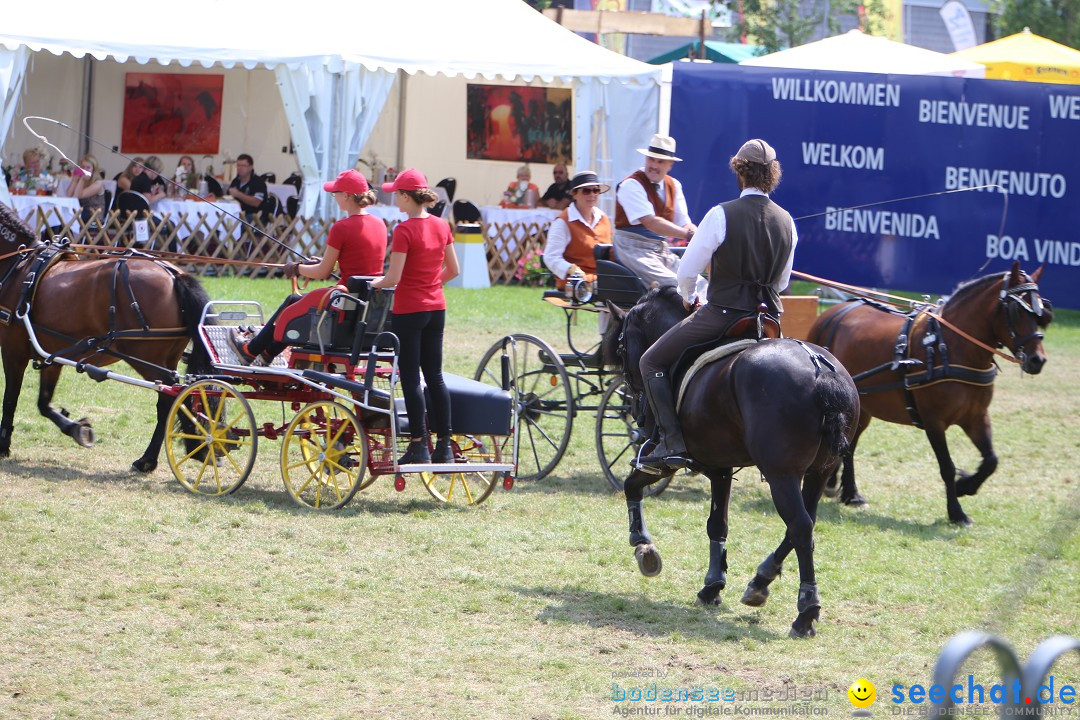 eurocheval - Europamesse des Pferdes - seechat: Offenburg, 27.07.2014