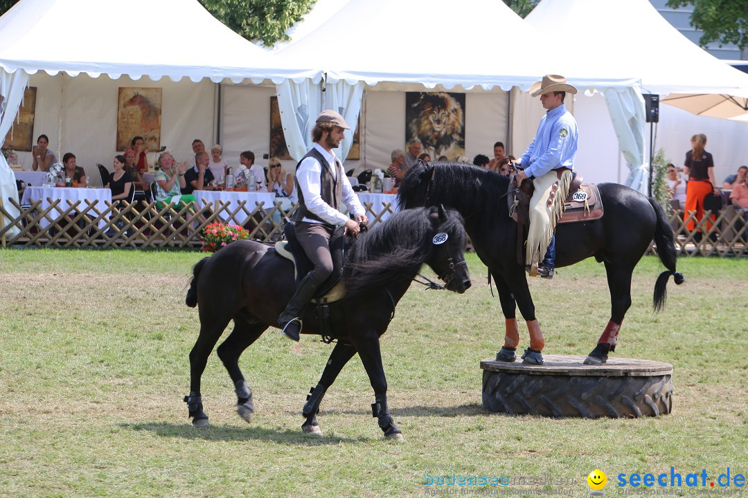 eurocheval - Europamesse des Pferdes - seechat: Offenburg, 27.07.2014