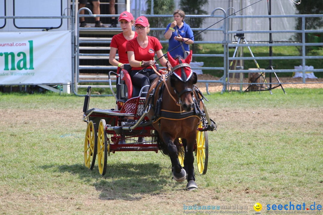 eurocheval - Europamesse des Pferdes - seechat: Offenburg, 27.07.2014