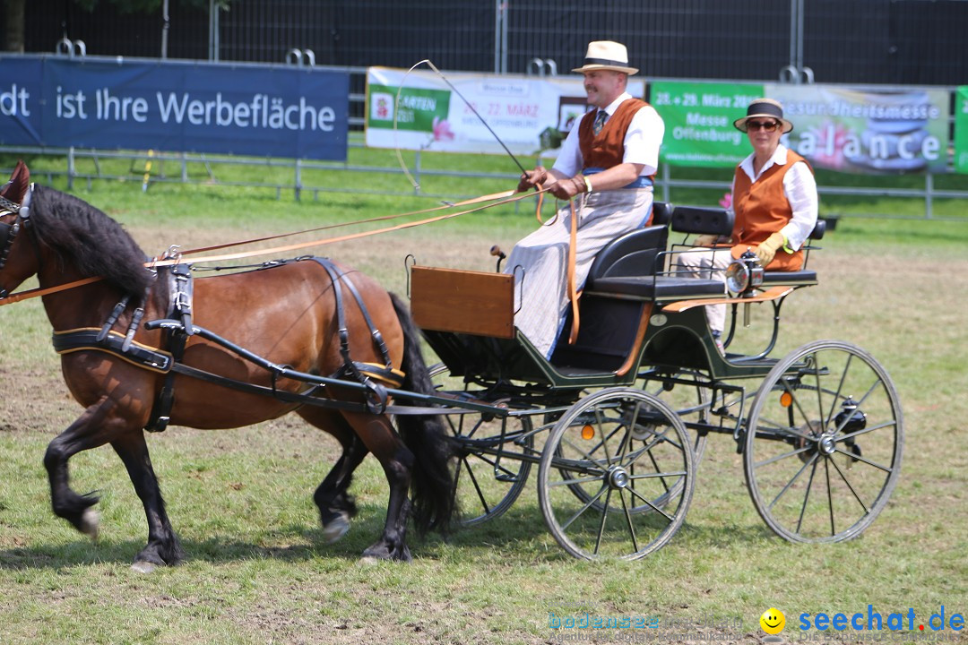 eurocheval - Europamesse des Pferdes - seechat: Offenburg, 27.07.2014