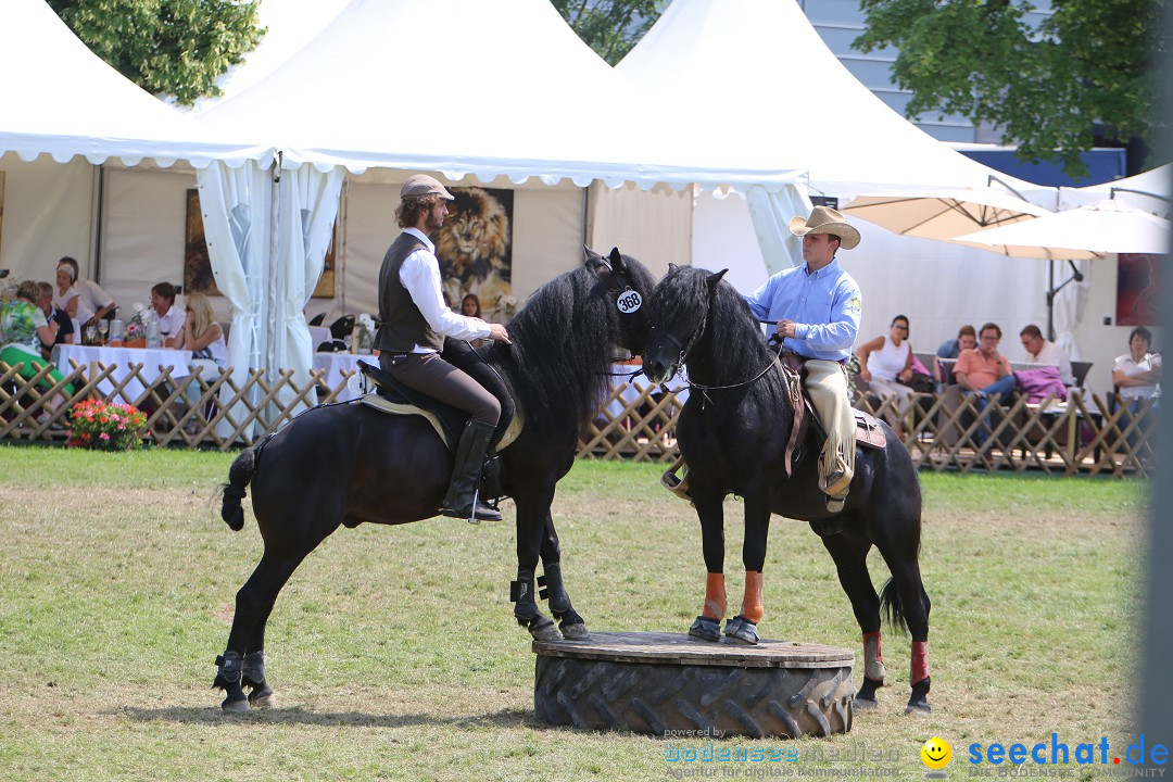 eurocheval - Europamesse des Pferdes - seechat: Offenburg, 27.07.2014