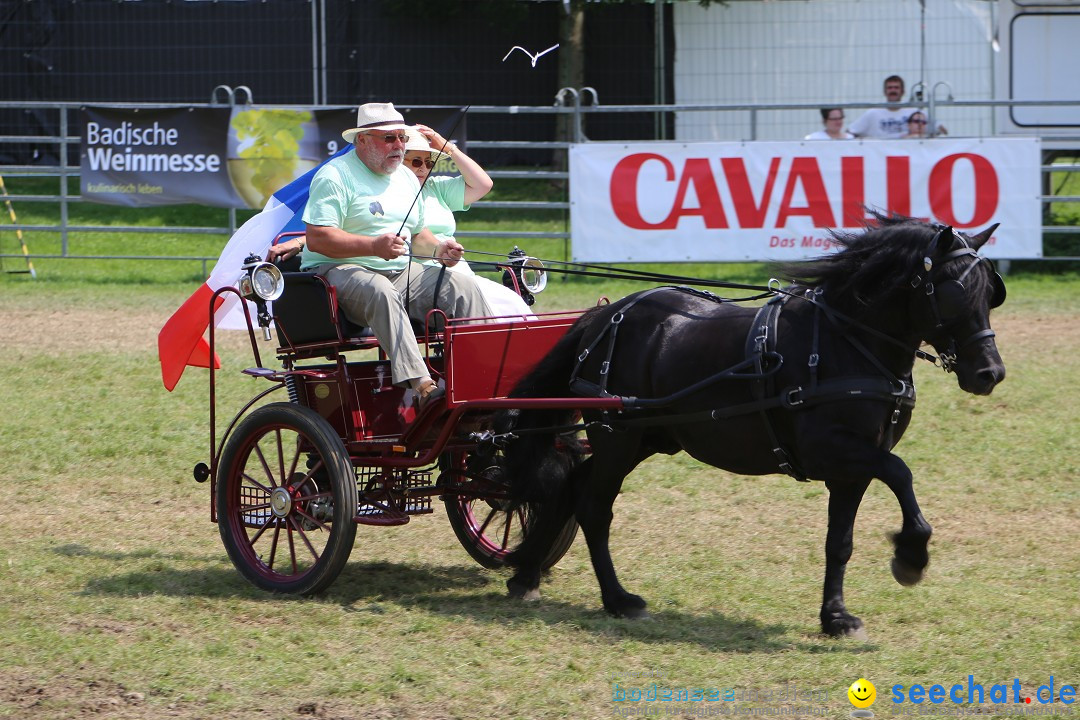 eurocheval - Europamesse des Pferdes - seechat: Offenburg, 27.07.2014