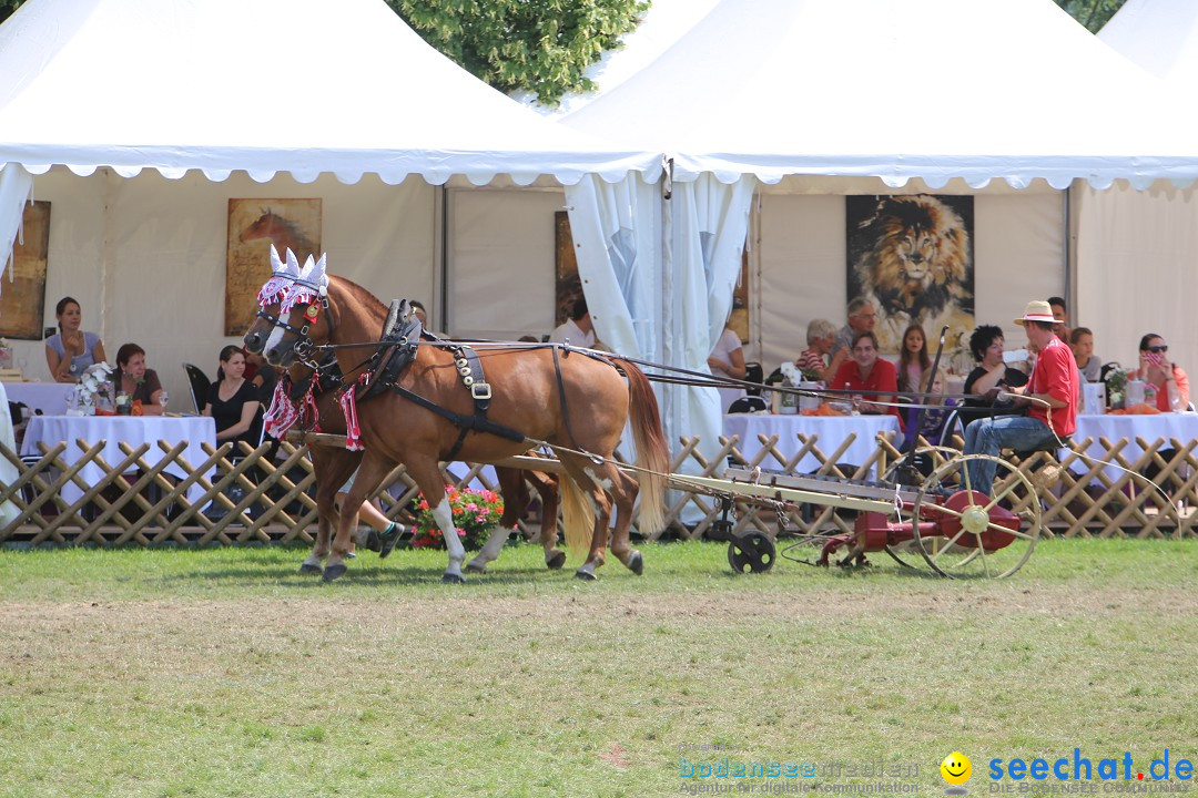 eurocheval - Europamesse des Pferdes - seechat: Offenburg, 27.07.2014