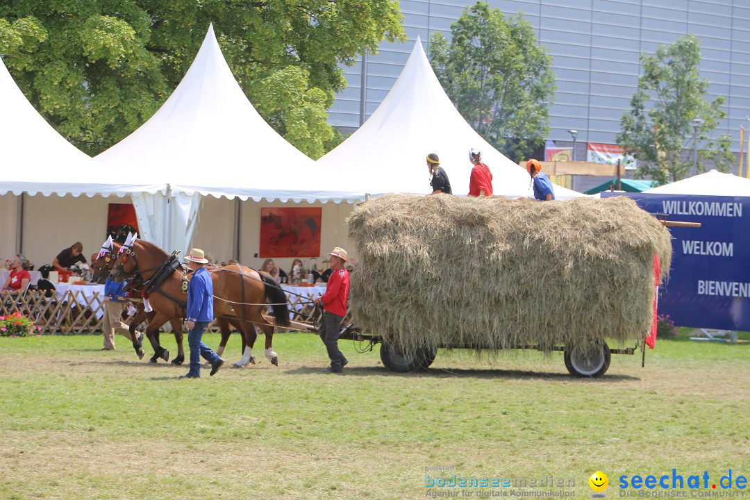 eurocheval - Europamesse des Pferdes - seechat: Offenburg, 27.07.2014