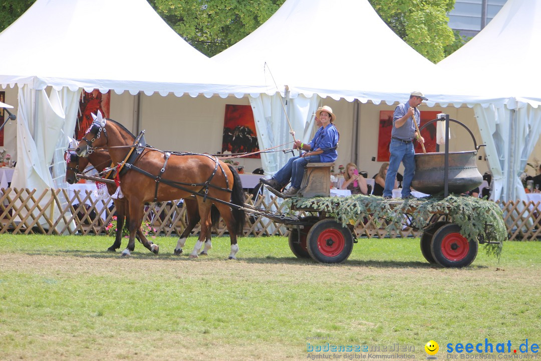 eurocheval - Europamesse des Pferdes - seechat: Offenburg, 27.07.2014