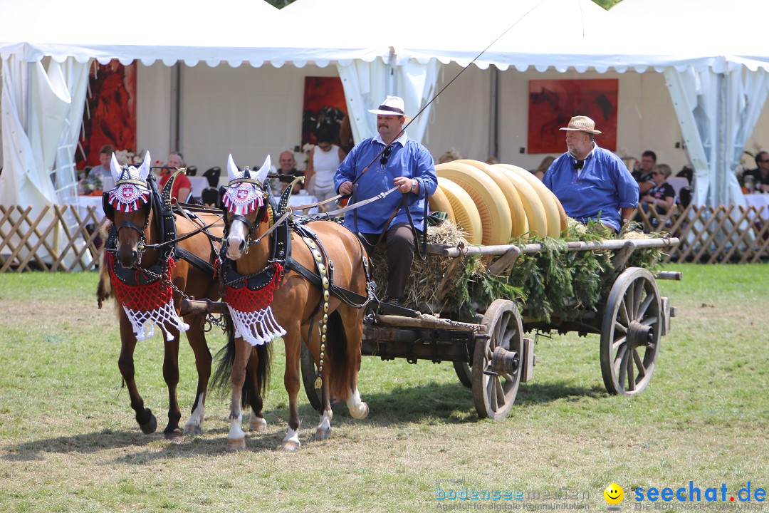 eurocheval - Europamesse des Pferdes - seechat: Offenburg, 27.07.2014