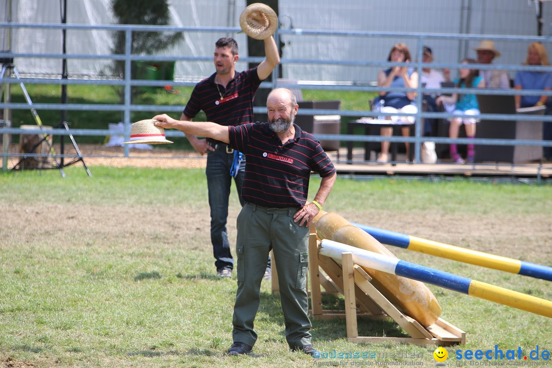 eurocheval - Europamesse des Pferdes - seechat: Offenburg, 27.07.2014