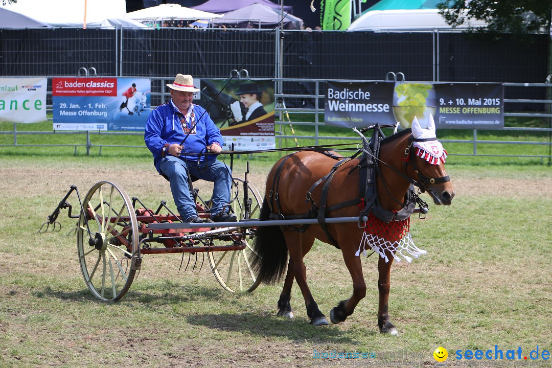 eurocheval - Europamesse des Pferdes - seechat: Offenburg, 27.07.2014