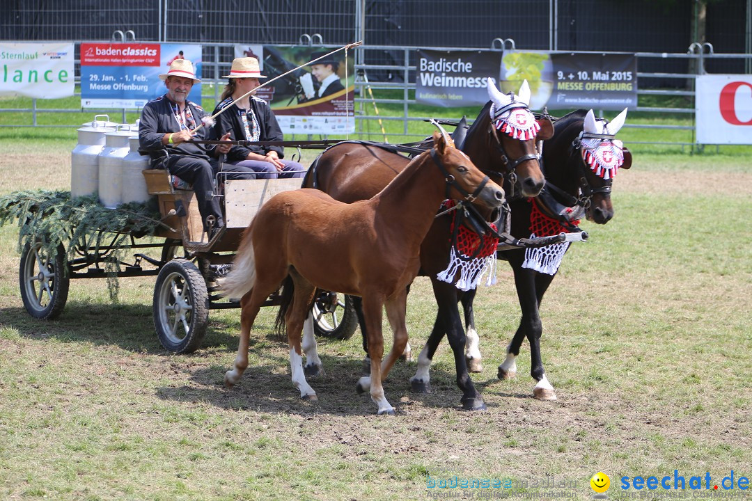 eurocheval - Europamesse des Pferdes - seechat: Offenburg, 27.07.2014