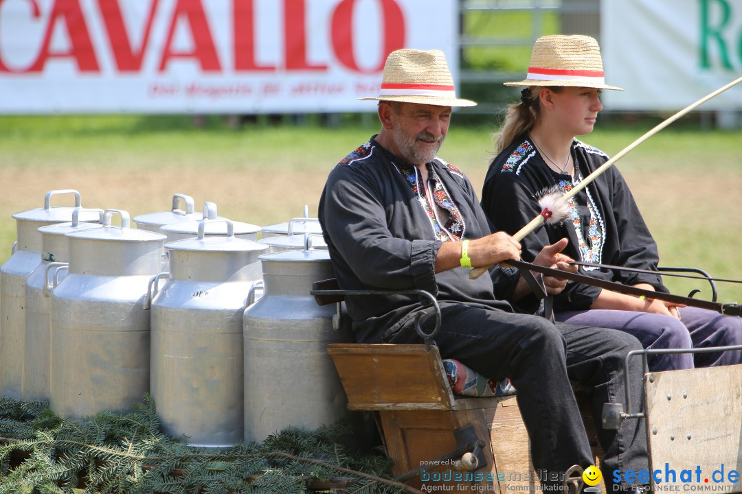 eurocheval - Europamesse des Pferdes - seechat: Offenburg, 27.07.2014